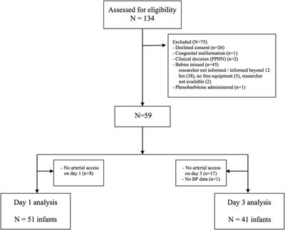 Investigation of EEG Activity Compared with Mean Arterial Blood Pressure in Extremely Preterm Infants